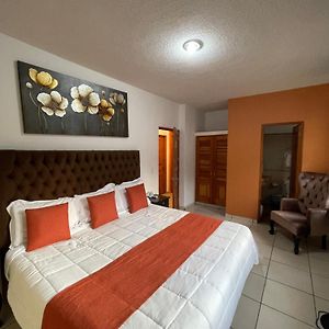 Habitación con Cama King